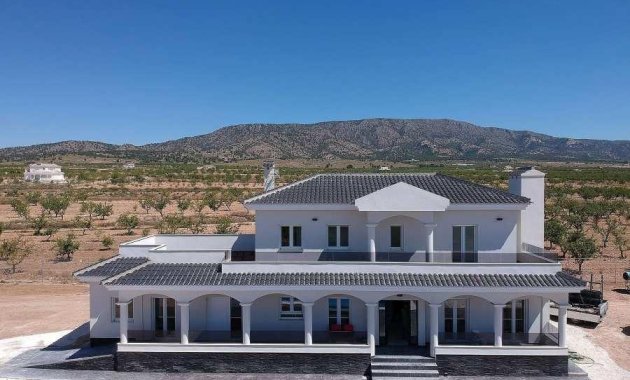Villa - Nieuwbouw Woningen - Pinoso - N7759