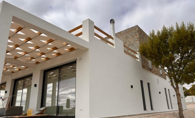 Villa - Nouvelle construction - Pinoso - Comunidad Valenciana