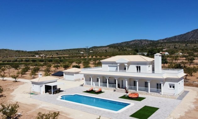 Villa - Nouvelle construction - Pinoso - N7760