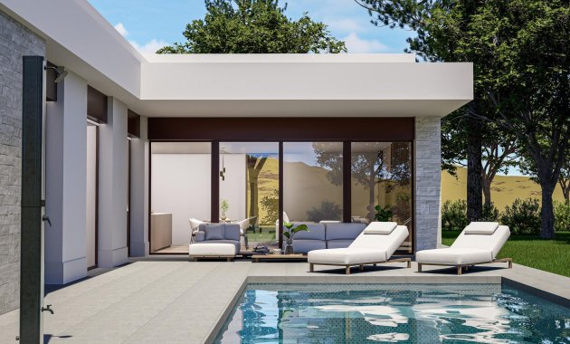 Villa - Nowy budynek - Pinoso - Lel