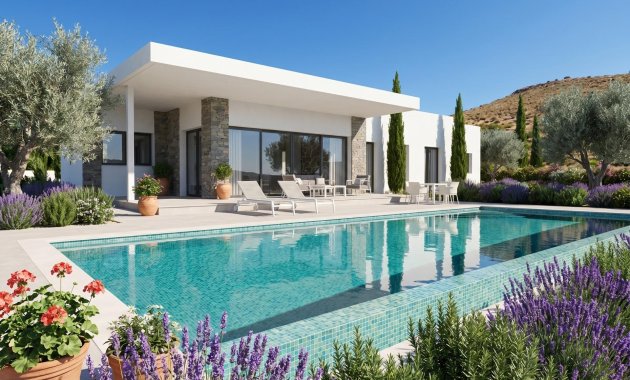 Villa - Obra nueva - Pinoso - Comunidad Valenciana