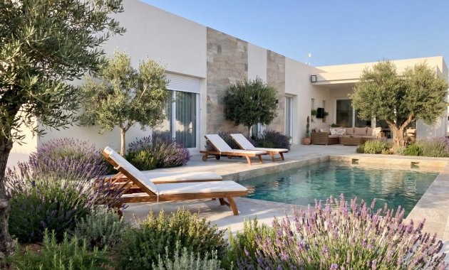 Villa - Obra nueva - Pinoso - Comunidad Valenciana