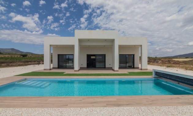 Villa - Obra nueva - Pinoso - N8295