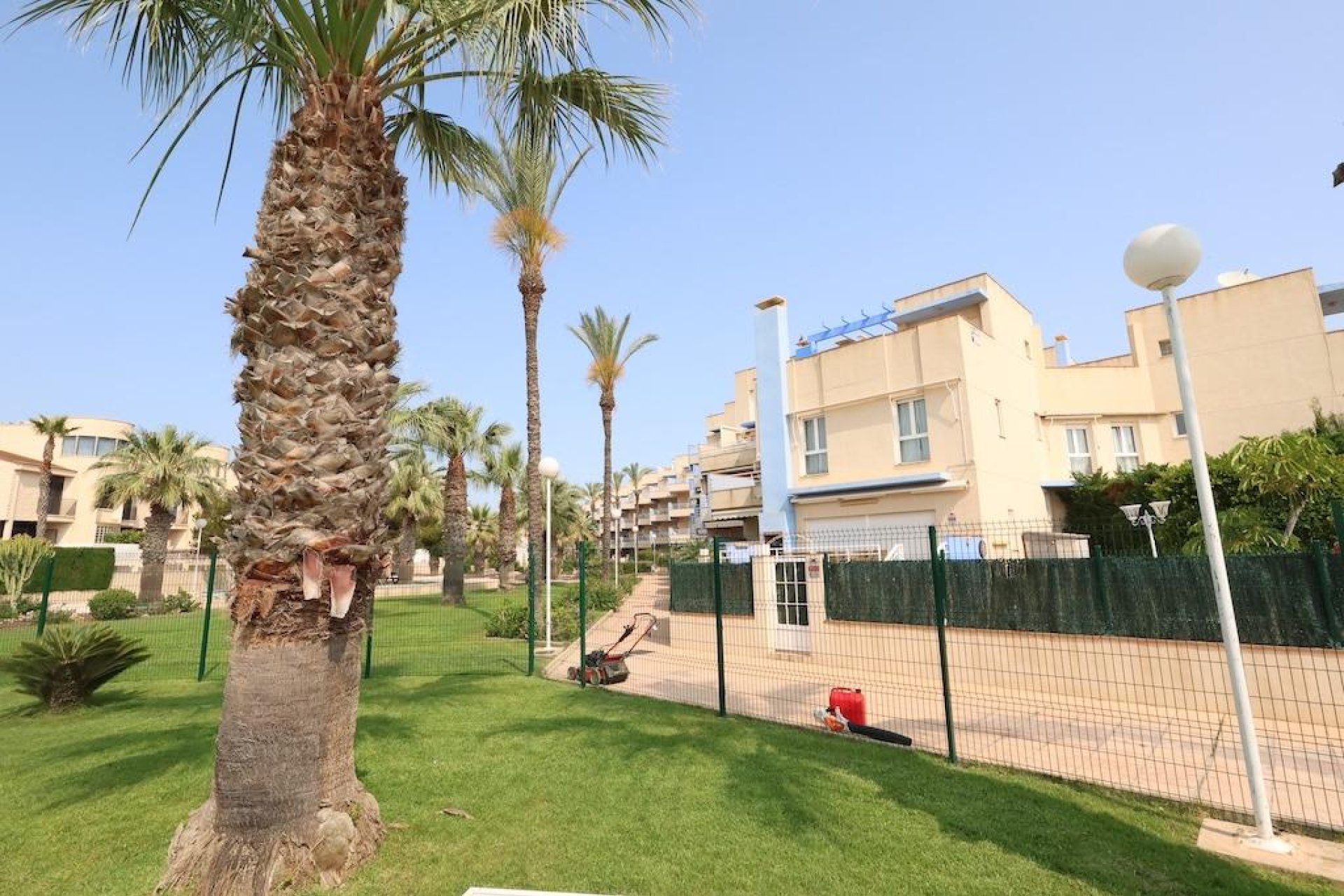 Wynajem długoterminowy - Mieszkanie w bloku - Orihuela Costa - Campoamor