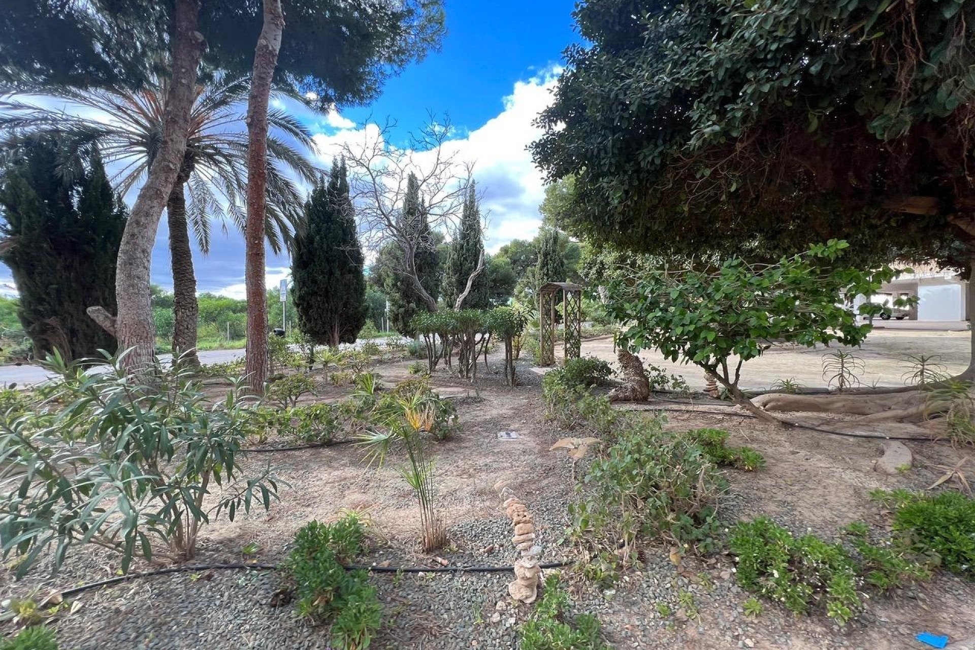 Wynajem długoterminowy - Mieszkanie w bloku - Orihuela Costa - Punta Prima