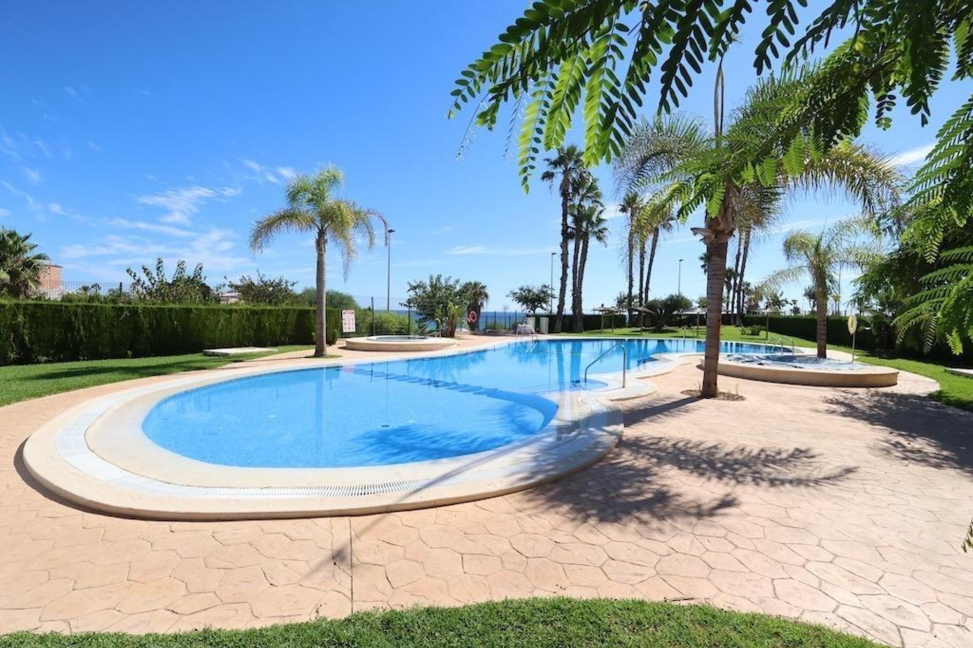Wynajem krótkoterminowy - Penthouse - Pilar de la Horadada - Mil Palmeras