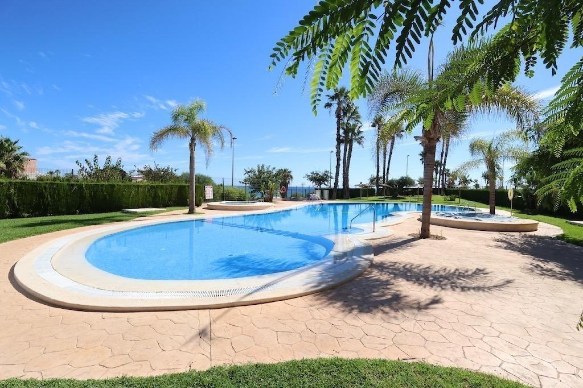 Wynajem krótkoterminowy - Penthouse - Pilar de la Horadada - Mil Palmeras