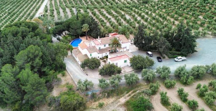 Gospodarstwo oliwne na sprzedaż w Murcji: inwestycja w obszarach wiejskich i śródziemnomorski styl życia