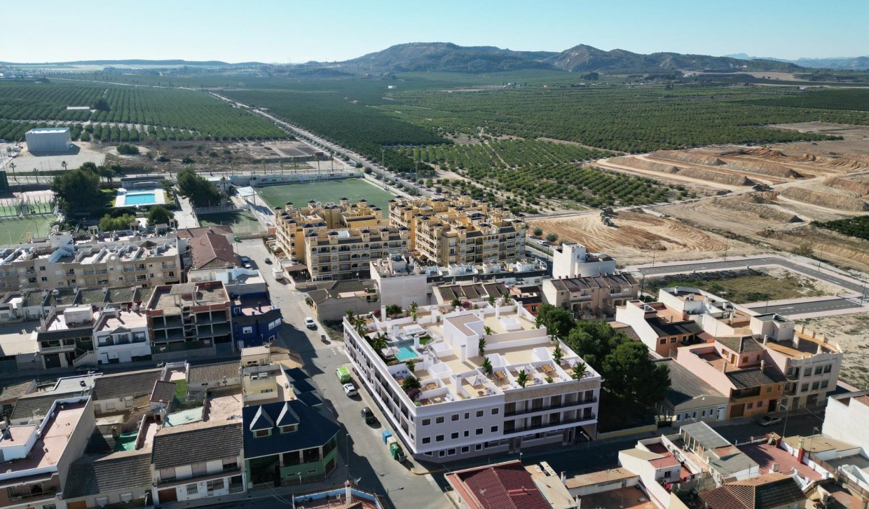 Obra nueva - Ático - Algorfa - Pueblo