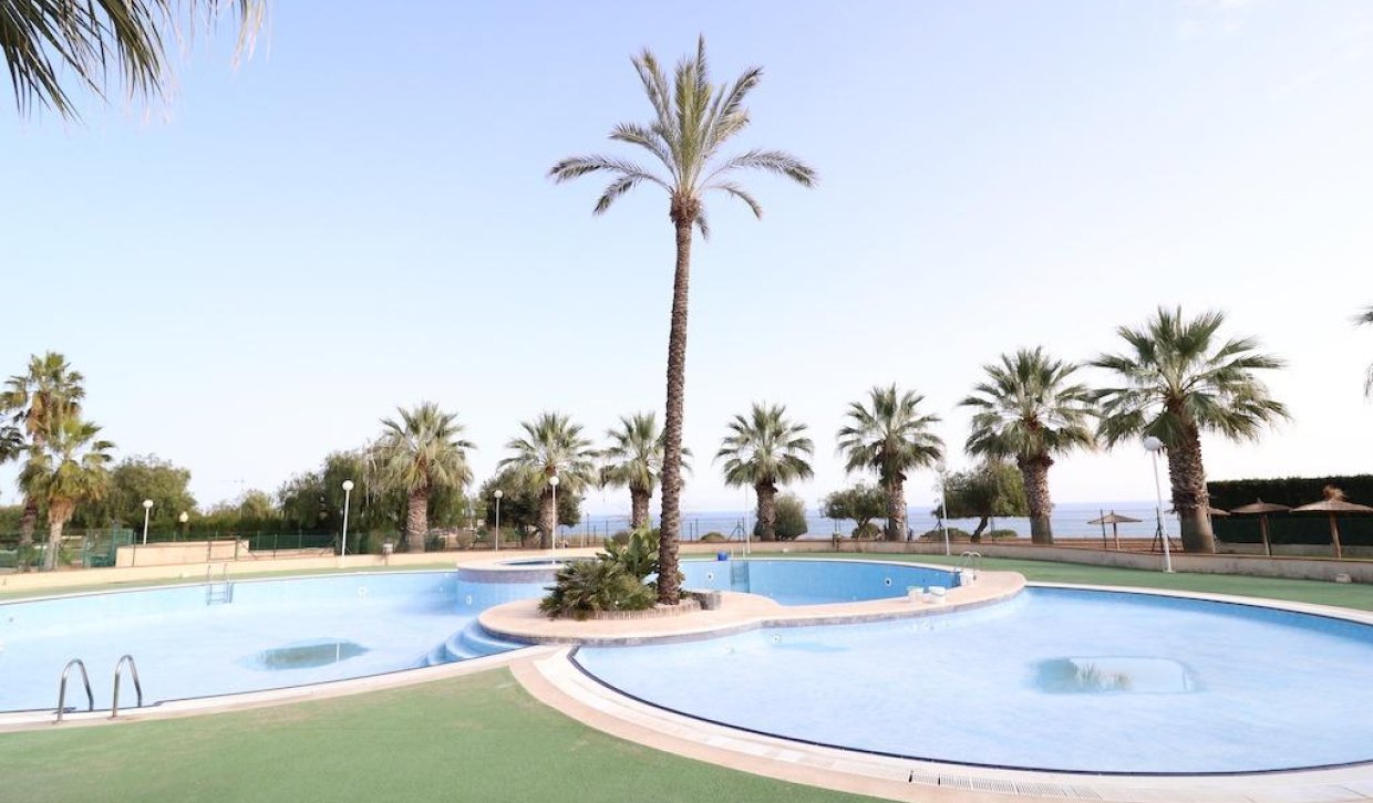 Alquiler a largo plazo - Apartamento - Orihuela Costa - Cabo Roig