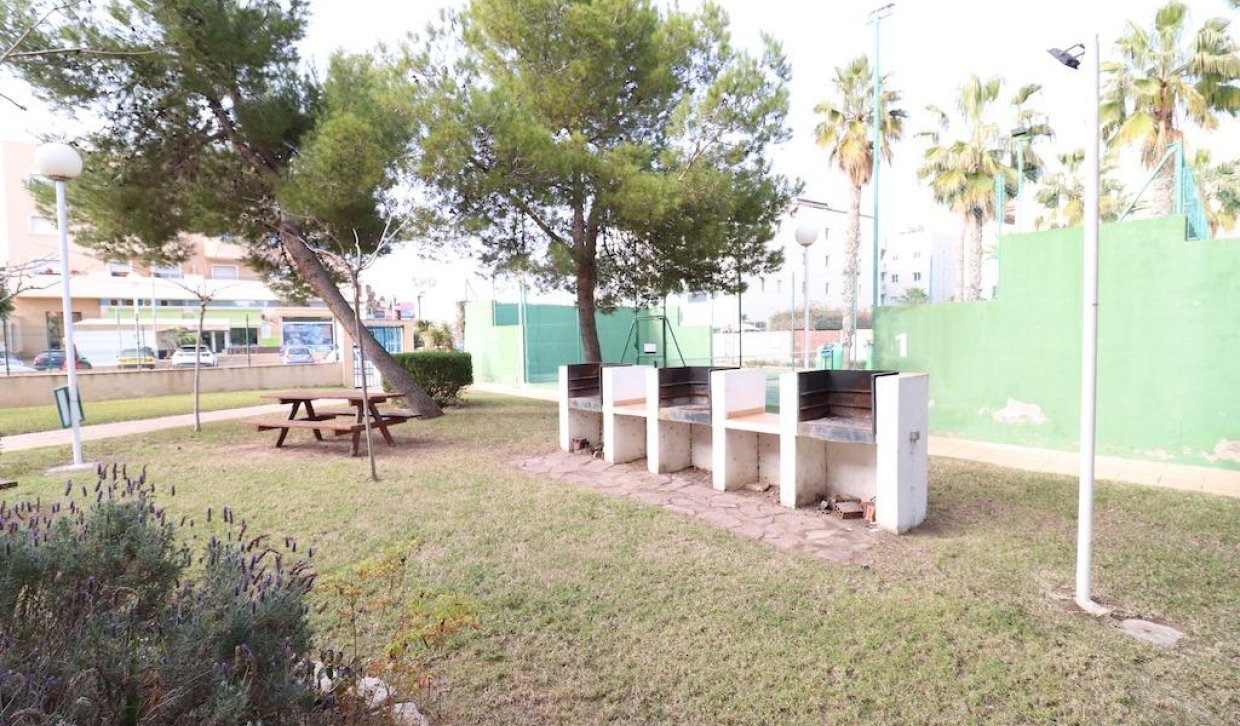 Alquiler a largo plazo - Apartamento - Orihuela Costa - Cabo Roig