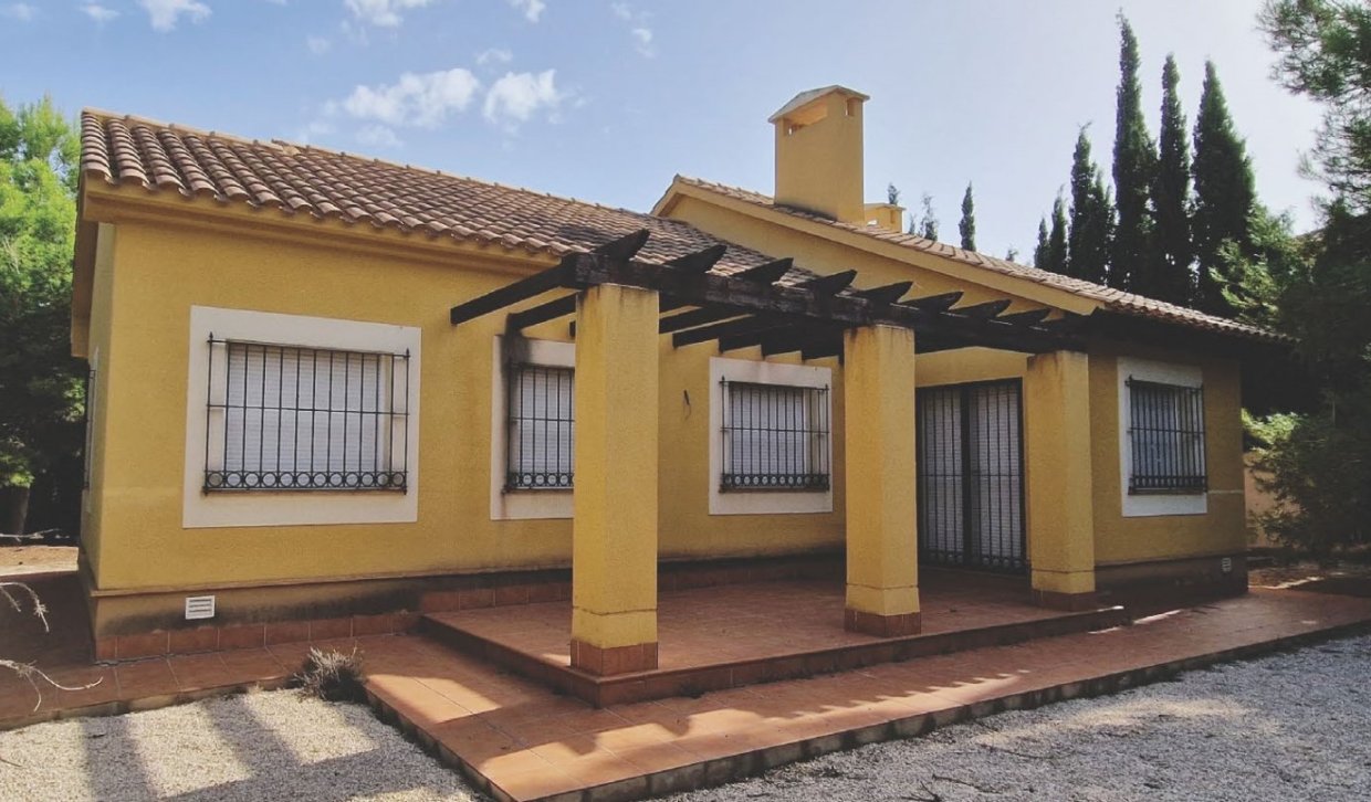 Obra nueva - Villa - Fuente Álamo - Las Palas