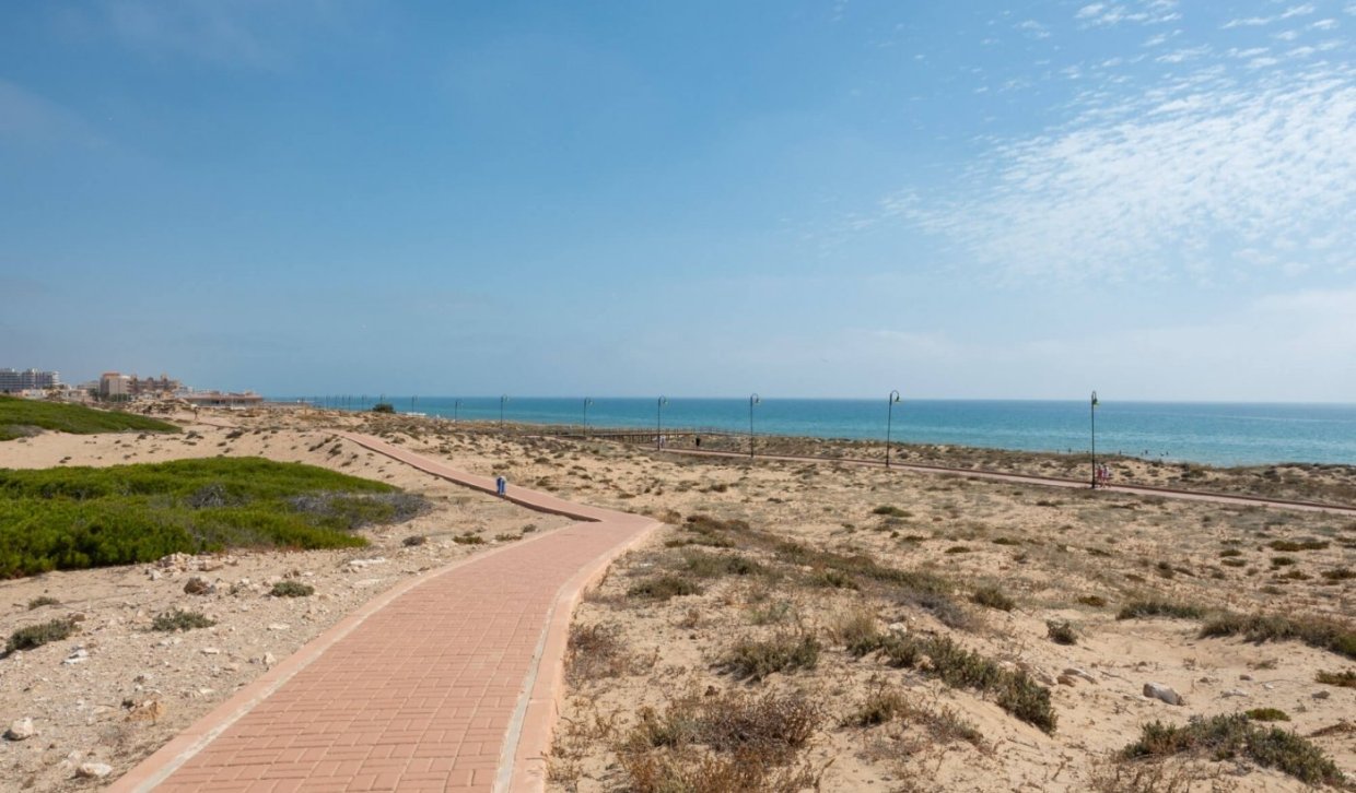 Obra nueva - Ático - Torrevieja - La Mata