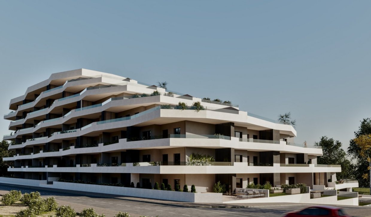 Obra nueva - Apartment - San Miguel de Salinas - Pueblo