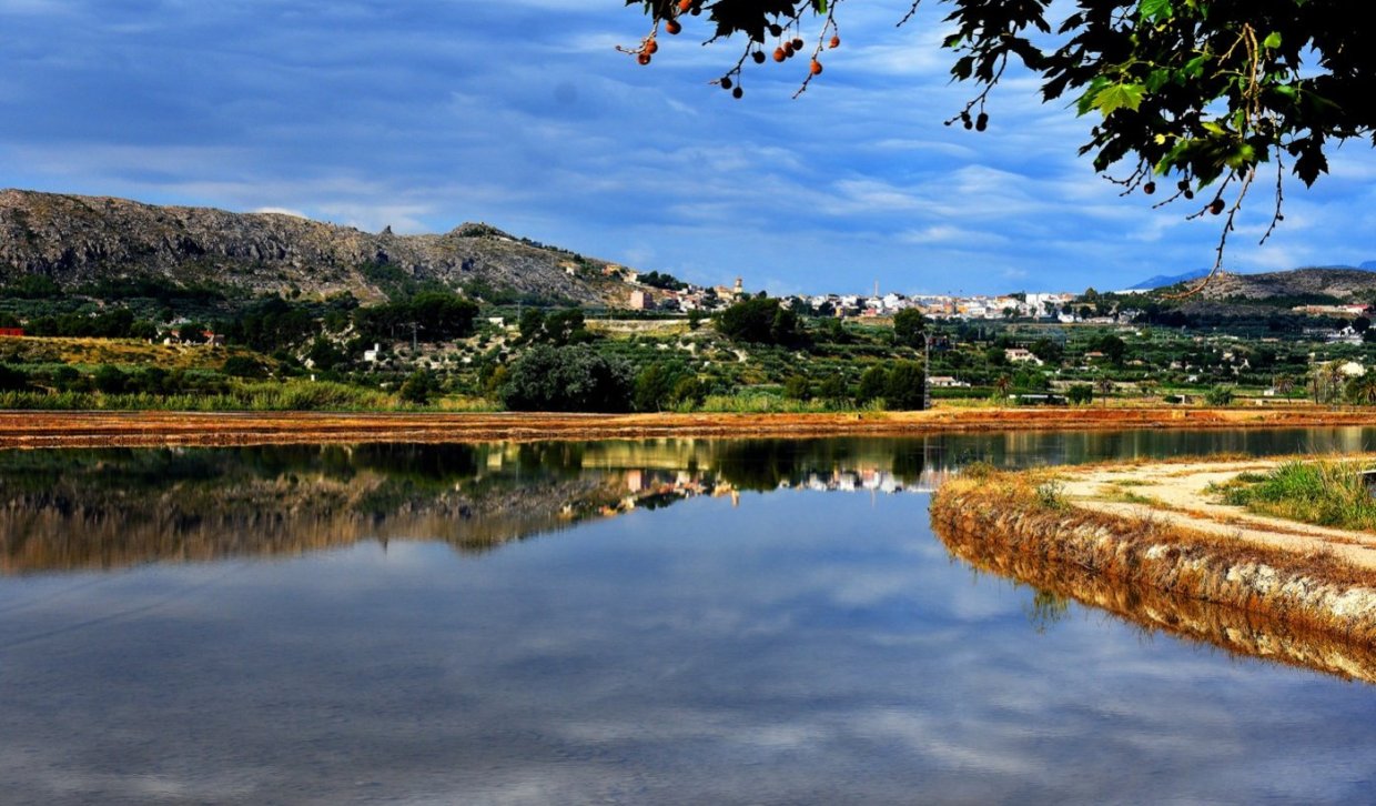 Obra nueva - Villa - Calasparra - Coto Riñales