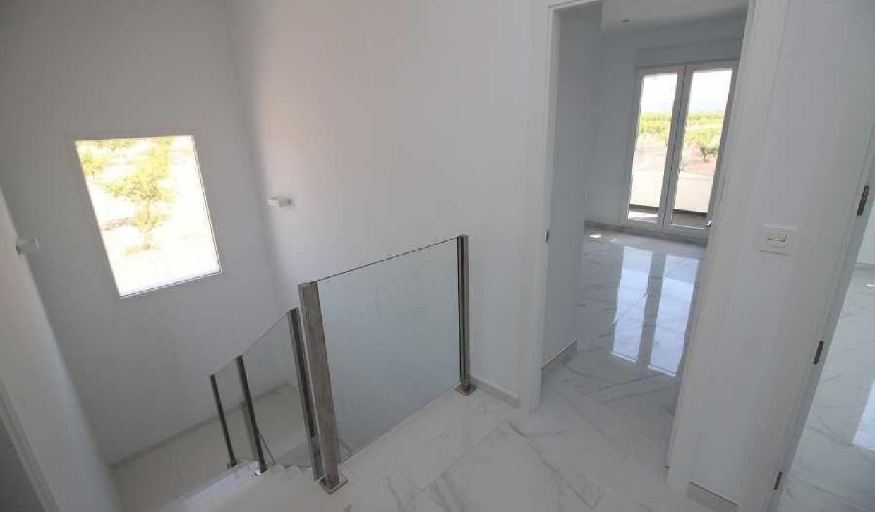 Obra nueva - Villa - Pinoso - Camino Del Prado