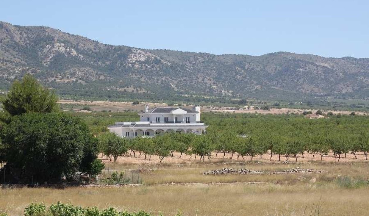 Obra nueva - Villa - Pinoso - Camino Del Prado