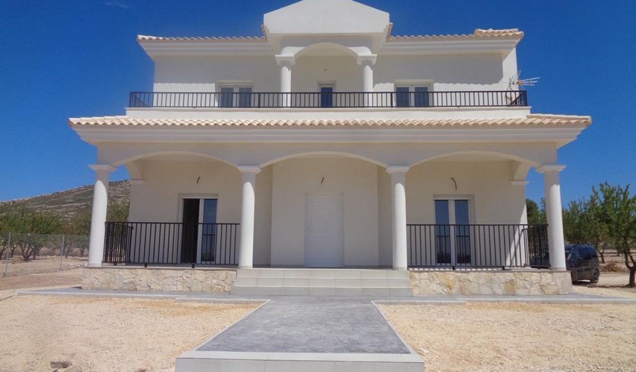 Obra nueva - Villa - Pinoso - Camino Del Prado