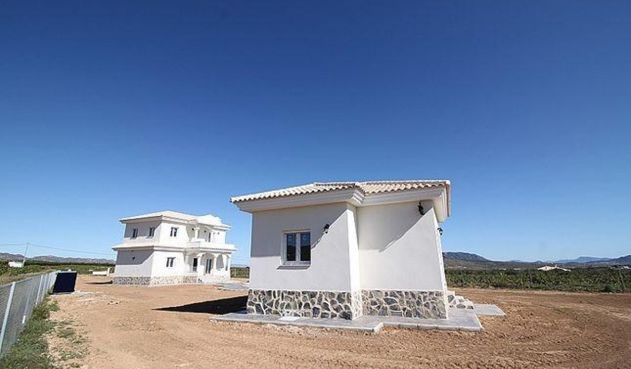 Obra nueva - Villa - Pinoso - Camino Del Prado