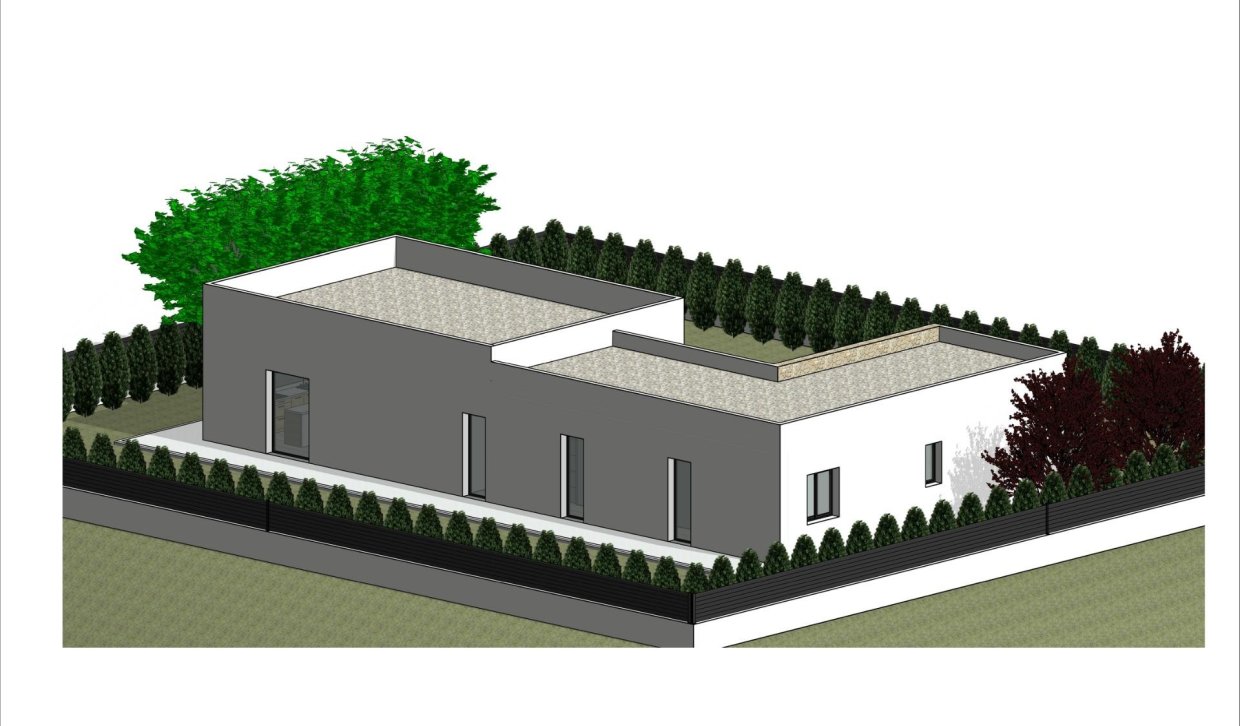 Obra nueva - Villa - Pinoso - Lel