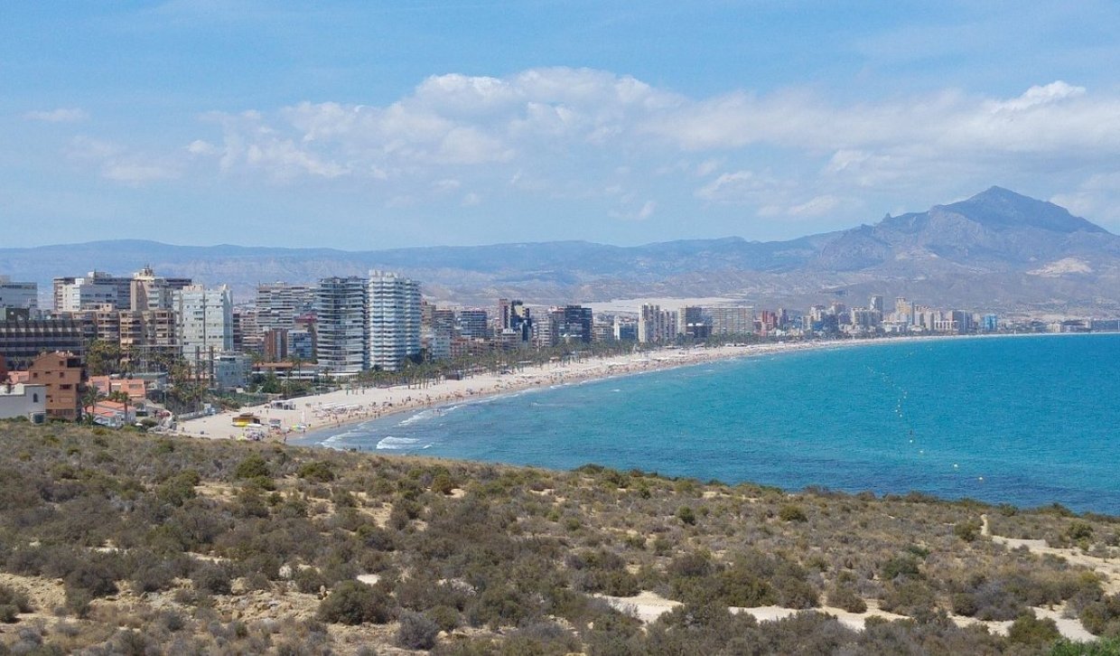 Obra nueva - Apartment - San Juan Alicante - Franc Espinós