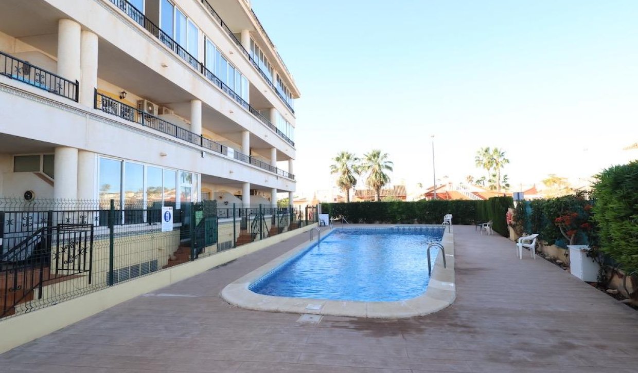 Segunda Mano - Apartamento - Orihuela Costa - Punta Prima