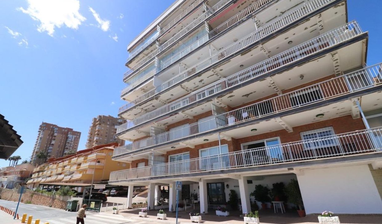 Alquiler a largo plazo - Apartamento - Orihuela Costa - Campoamor