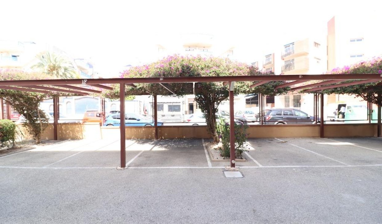 Alquiler a largo plazo - Apartamento - Orihuela Costa - La Regia