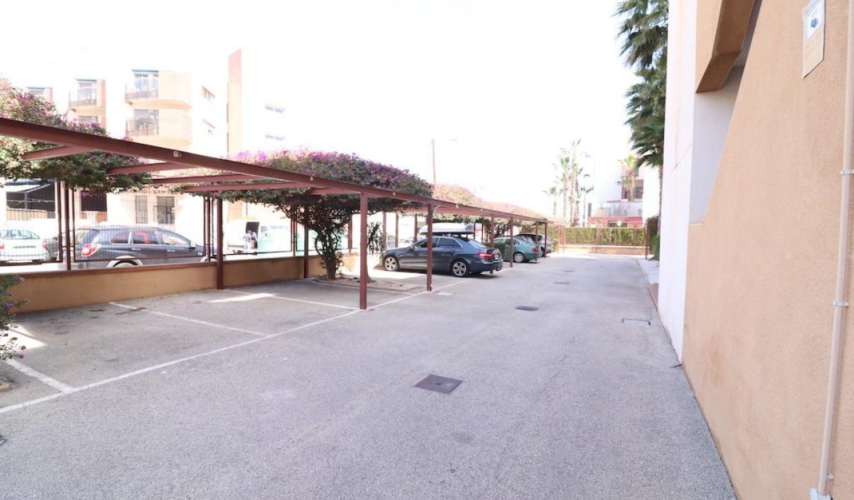 Alquiler a largo plazo - Apartamento - Orihuela Costa - La Regia