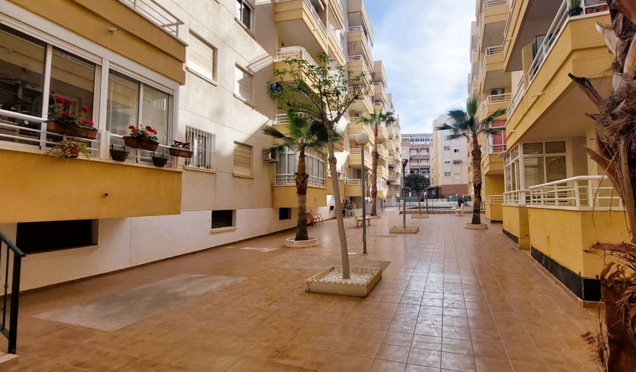 Segunda Mano - Apartamento - Torrevieja - Centro