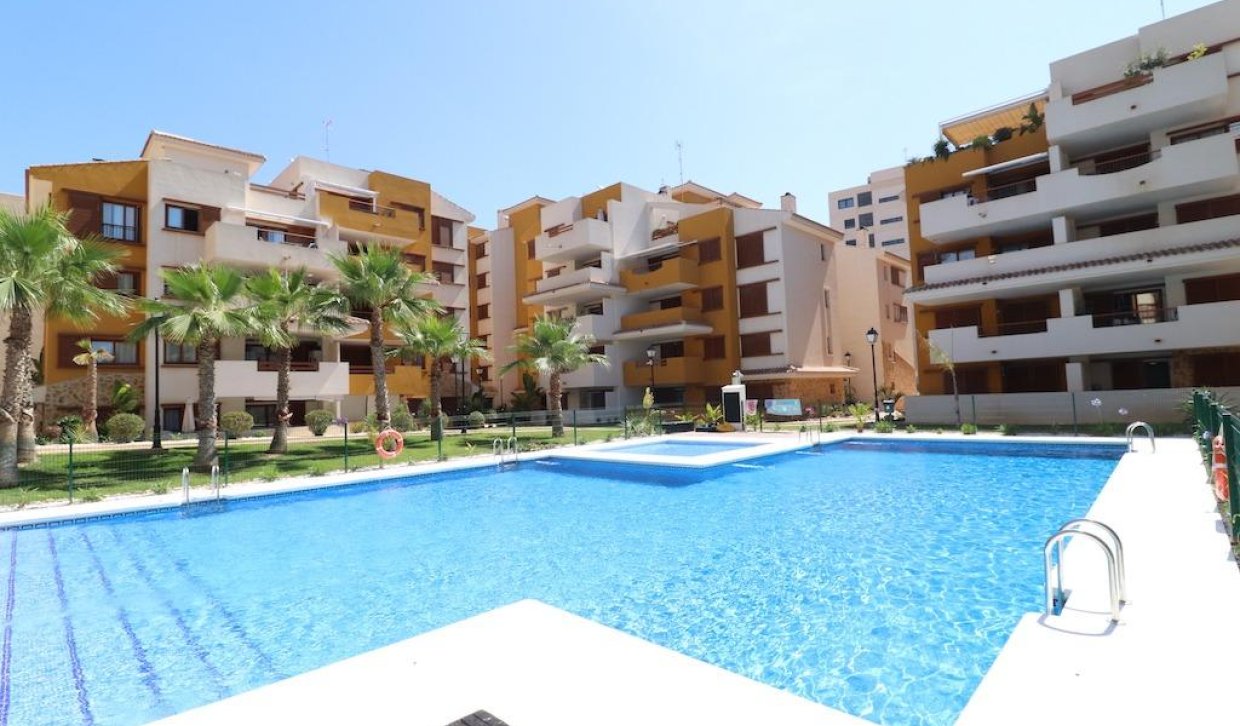 Segunda Mano - Apartamento - Torrevieja - Punta prima