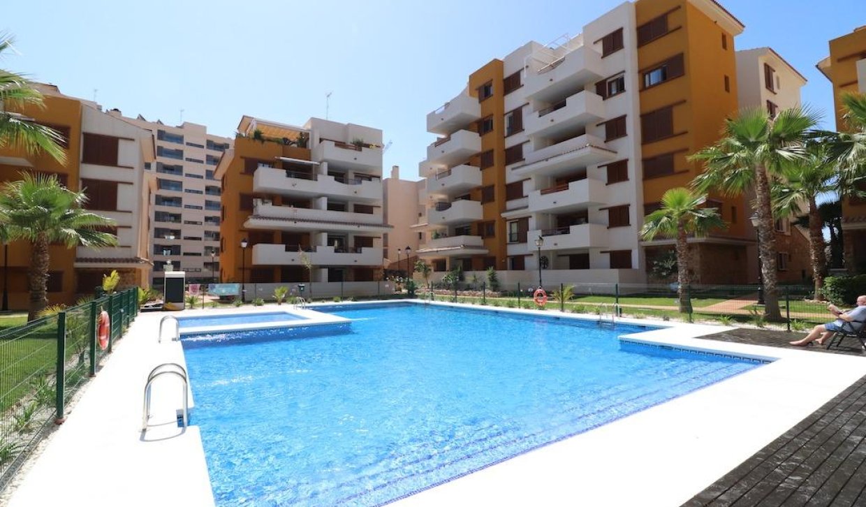 Segunda Mano - Apartamento - Torrevieja - Punta prima