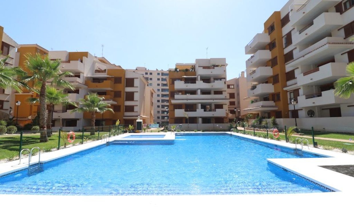 Segunda Mano - Apartamento - Torrevieja - Punta prima