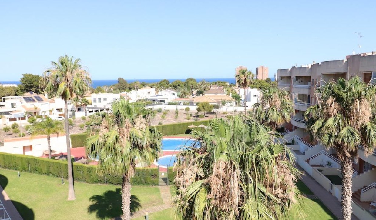 Alquiler a largo plazo - Apartamento - Orihuela Costa - Campoamor