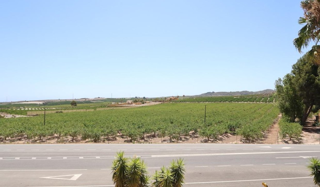 Segunda Mano - Hotel - San Miguel de Salinas - Urbanizaciones