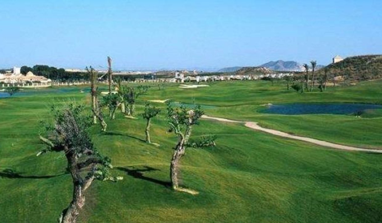 Obra nueva - Town House - Sucina - Peraleja Golf