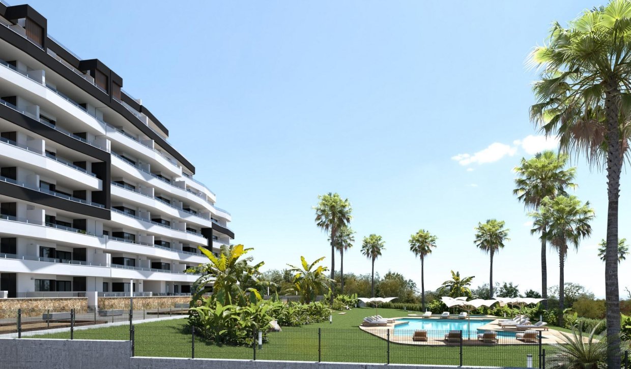 Obra nueva - Apartment - San Miguel de Salinas - Pueblo
