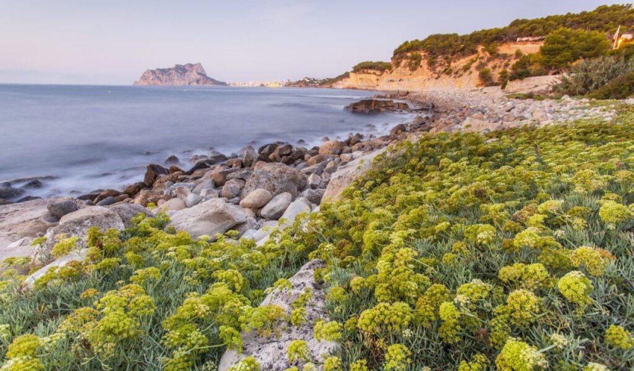 Nieuwbouw Woningen - Villa - Benissa - Cala Advocat