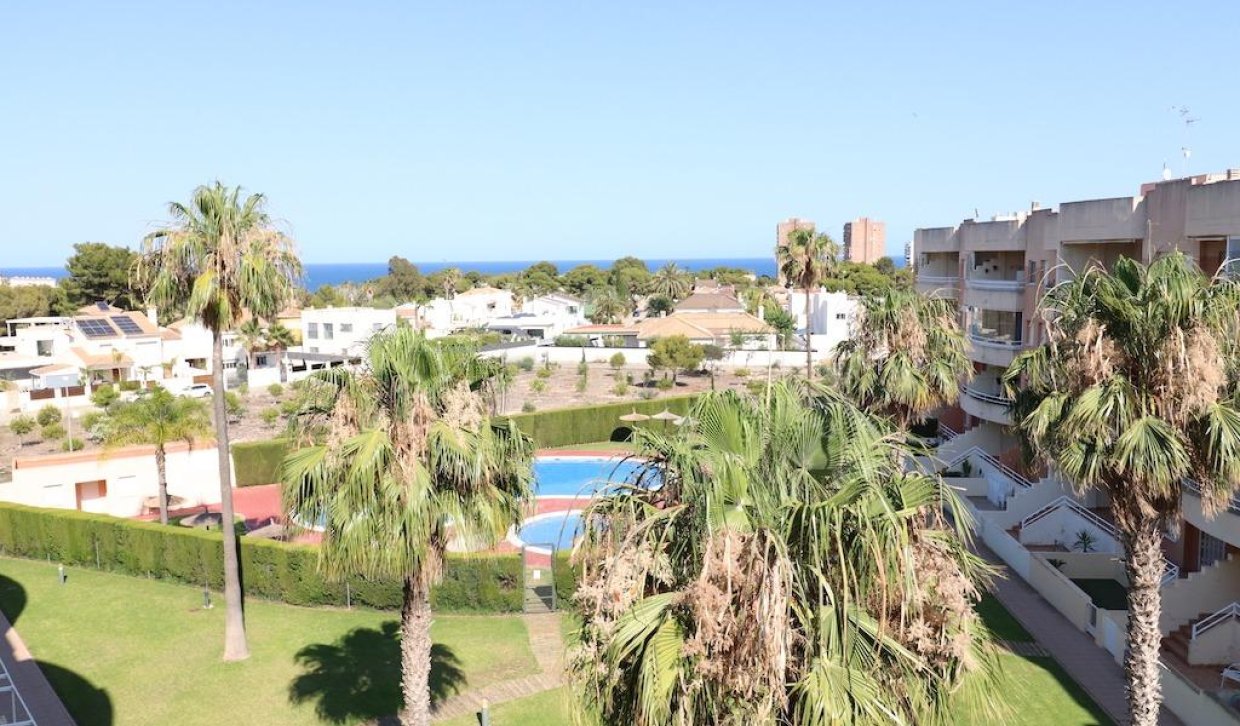 Alquiler - Apartamento / piso - Orihuela Costa - Campoamor