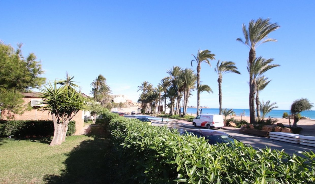 Rental - Villa - Orihuela Costa - Campoamor