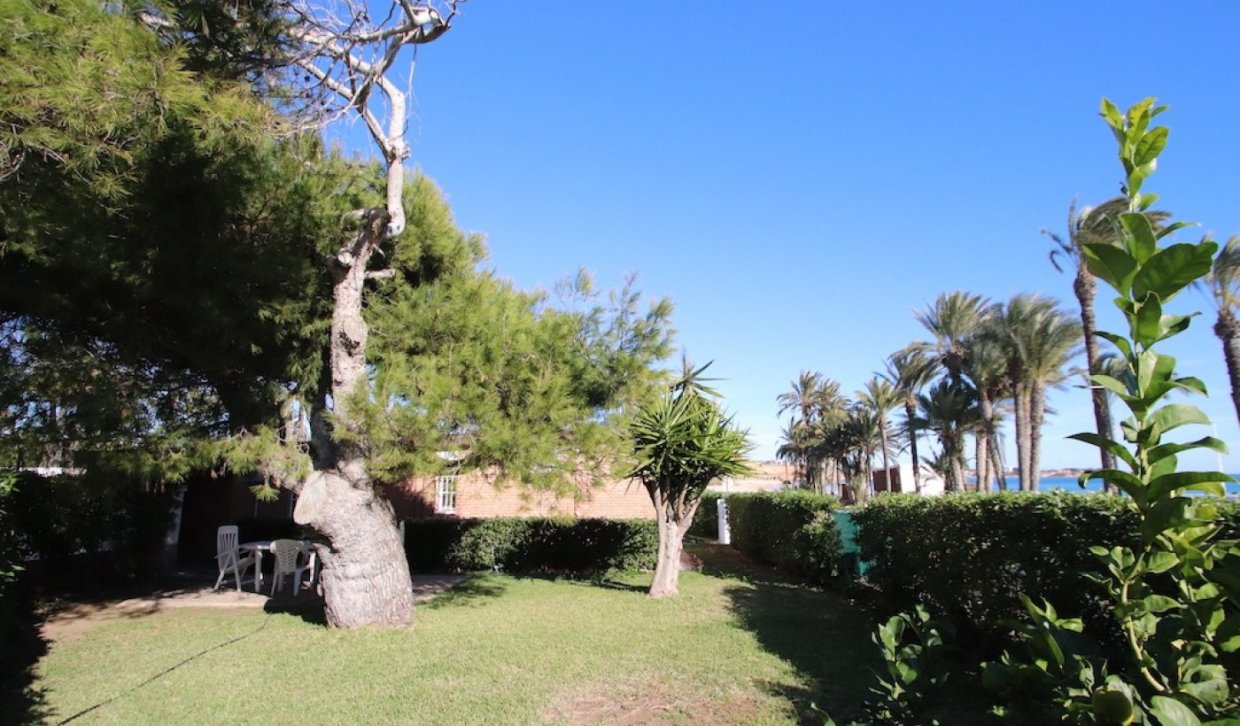 Rental - Villa - Orihuela Costa - Campoamor