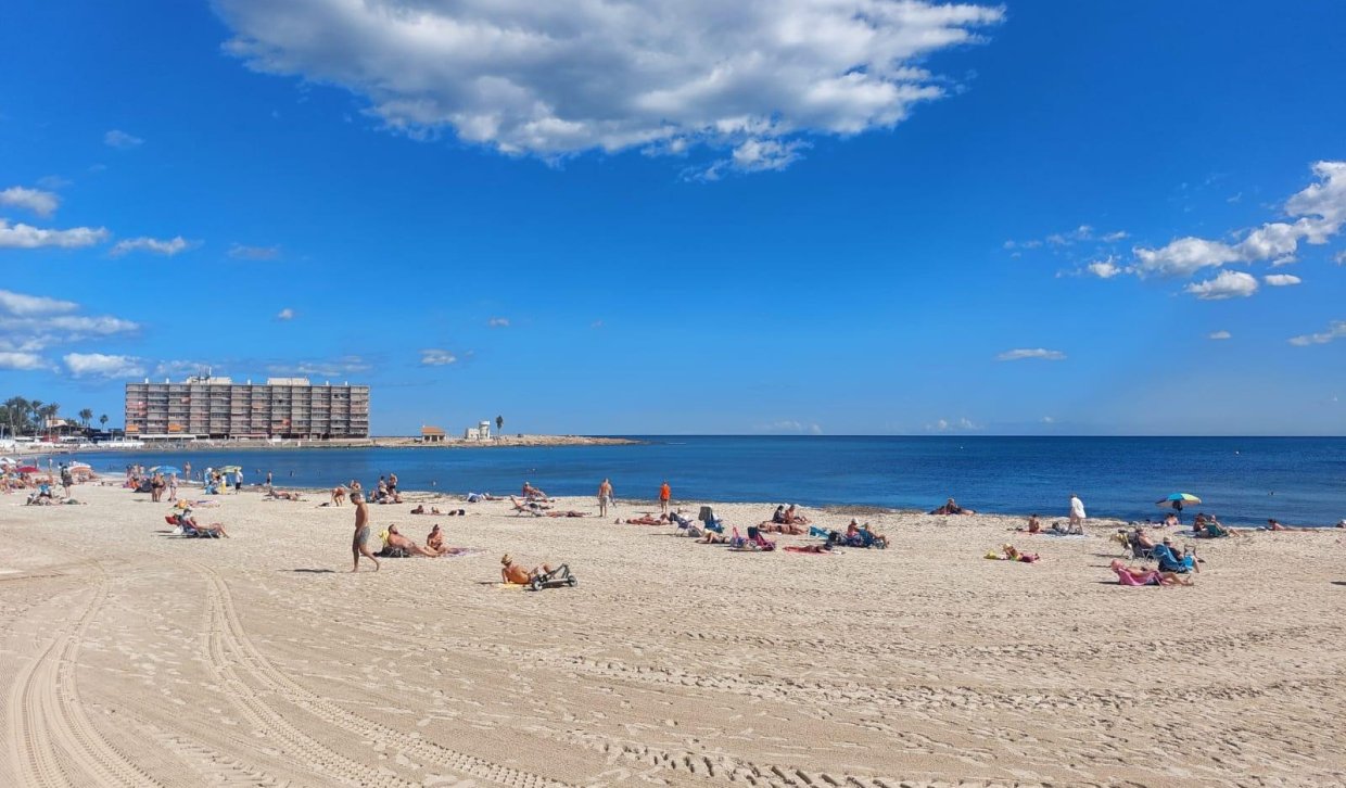 Segunda Mano - Planta baja - Torrevieja - Playa de los Locos