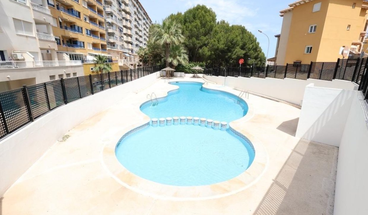 Alquiler - Apartamento / piso - Orihuela Costa - Altos de Campoamor