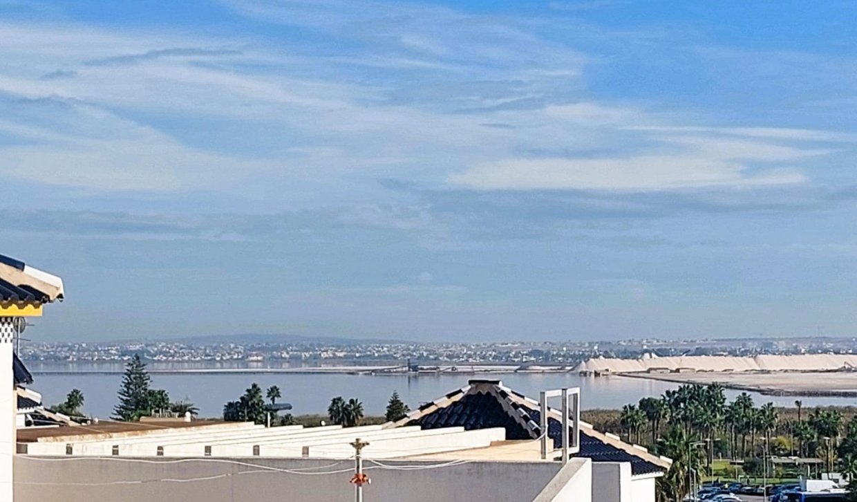 Segunda Mano - Pareado - Torrevieja - Los Balcones - Los Altos del Edén