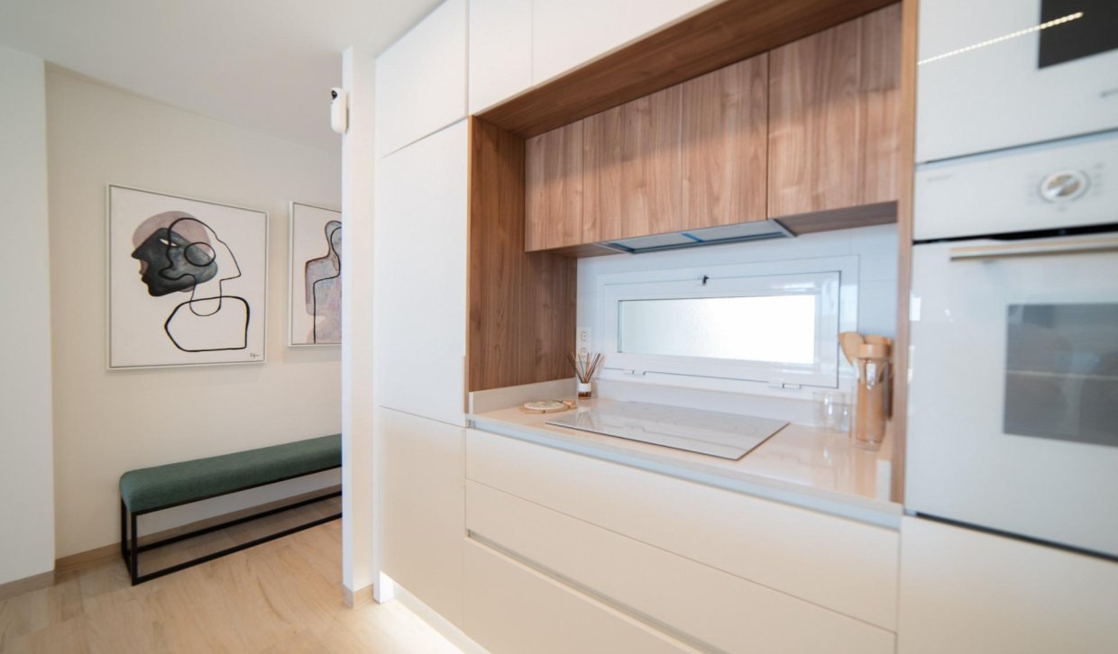 Nieuwbouw Woningen - Penthouse - Guardamar del Segura - EL RASO