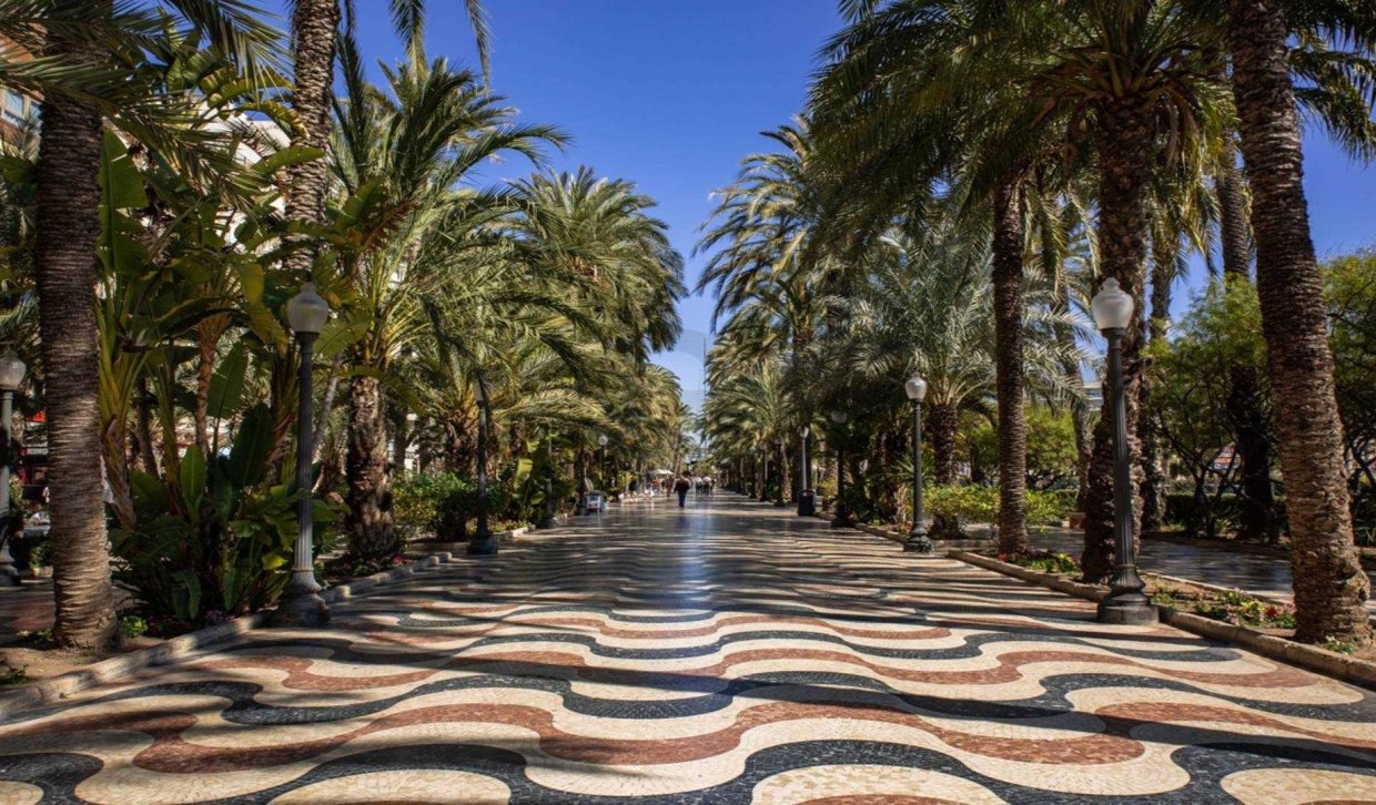 Obra nueva - Ground floor apartment - Alicante - Centro