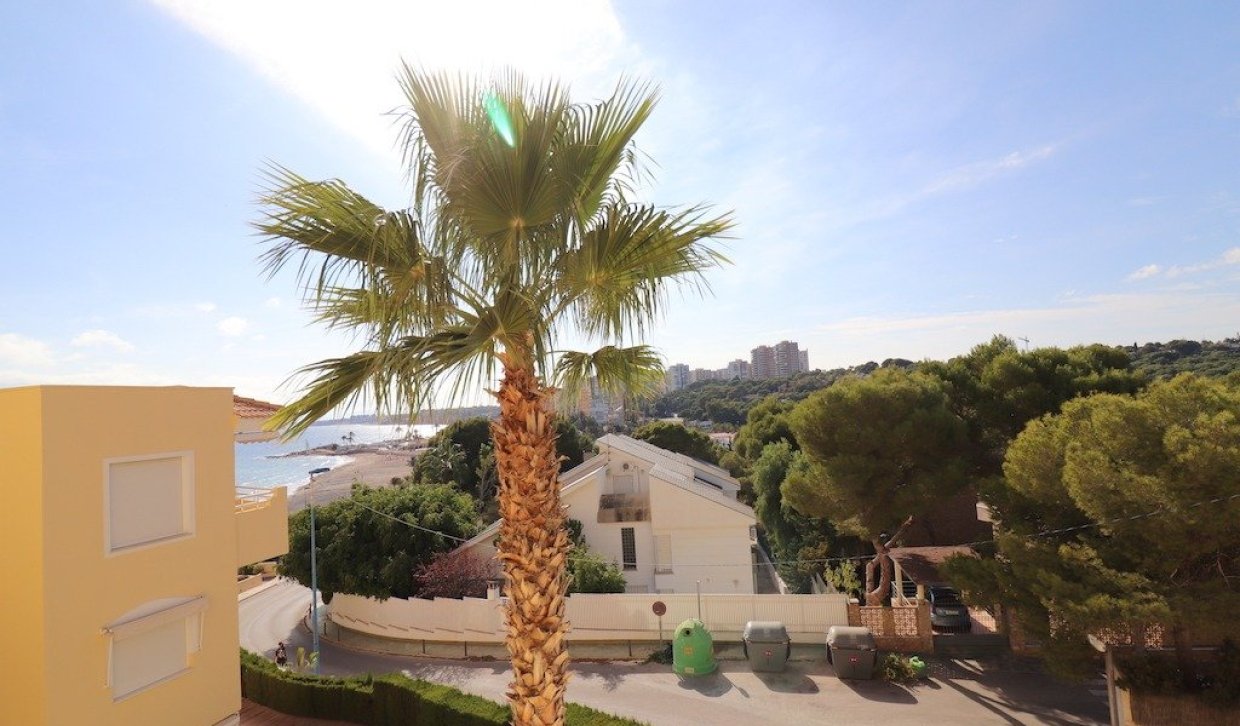 Alquiler - Apartamento / piso - Orihuela Costa - Campoamor