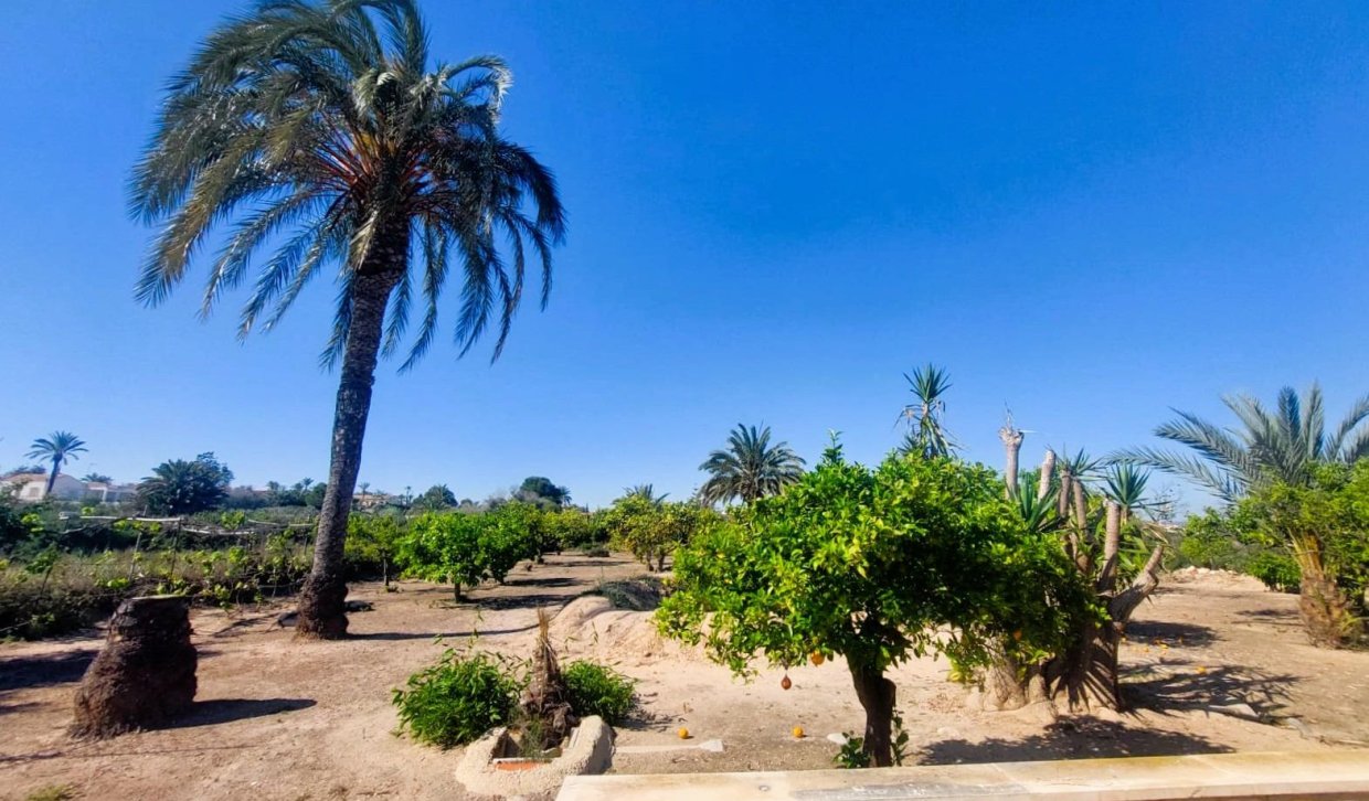 Bestaande woning  - Boerderijvilla - La marina - La Marina