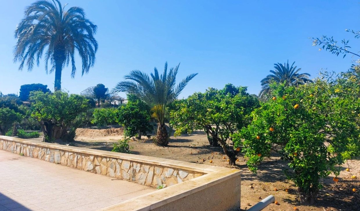 Bestaande woning  - Boerderijvilla - La marina - La Marina