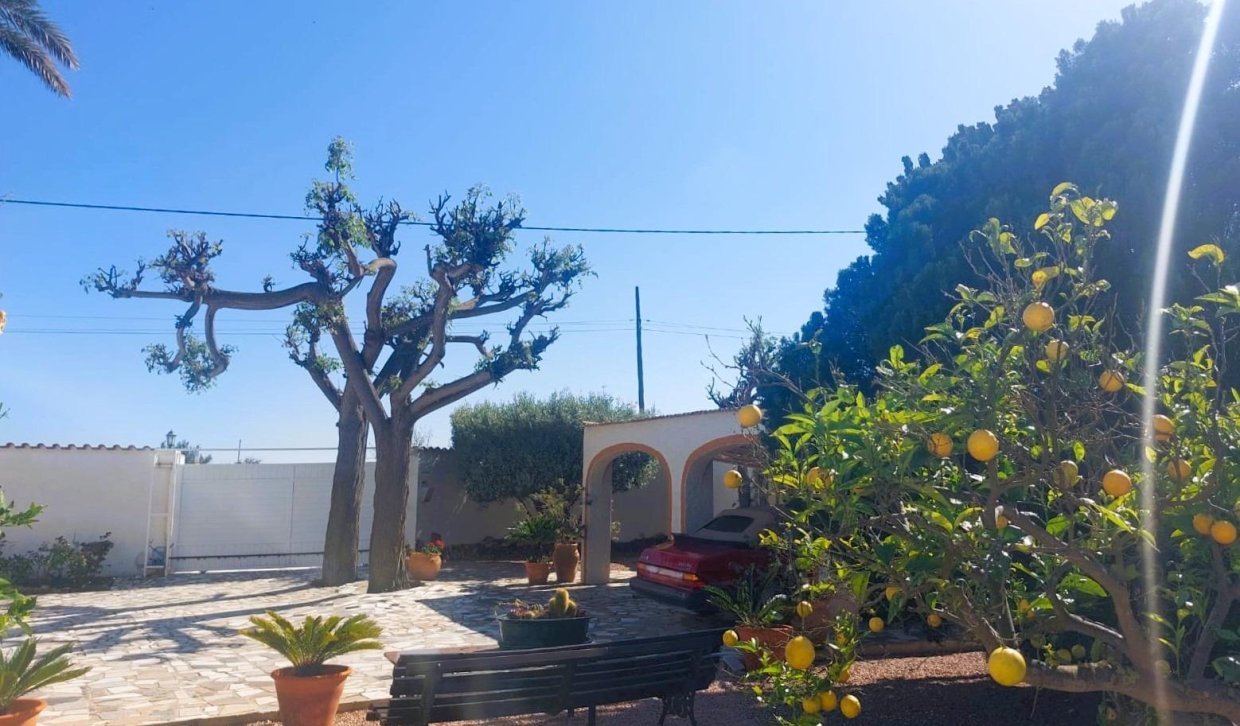 Bestaande woning  - Boerderijvilla - La marina - La Marina